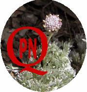 Logo del GE de QPN